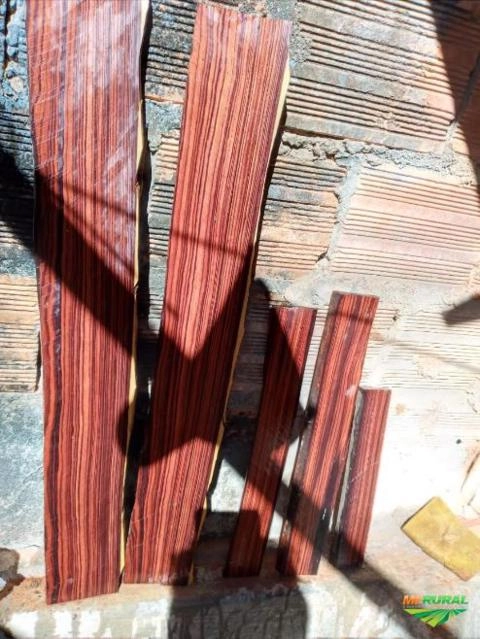 Madeira Jacarandá Violeta Imagem Madeira Jacarandá Violeta