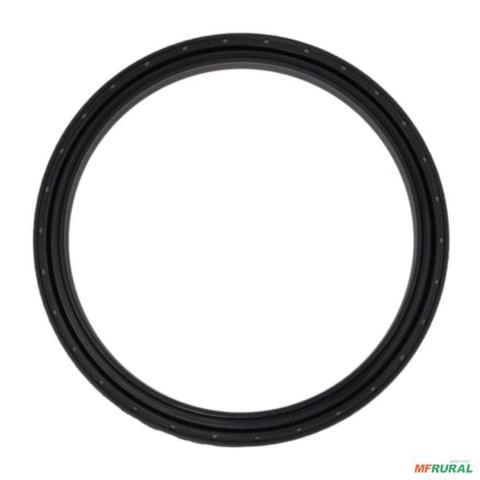 Retentor grande do cubo da tração ZF0734309423 87538400 Imagem Retentor grande do cubo da tração ZF0734309423 87538400