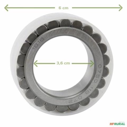 Imagem Rolamento planetária tração ZF 3176341M1 0750118072 ZF Imagem Rolamento planetária tração ZF 3176341M1 0750118072 ZF