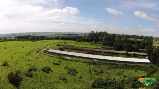 Granja para 75.000 aves em Tietê SP - 120 km de SP