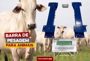 BALANÇA PESAGEM DE ANIMAIS