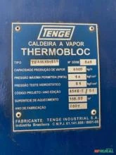 CALDEIRA FLAMOTUBULAR TENGE 6000KG/H