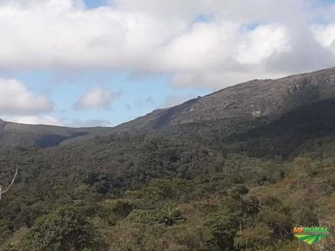 Fazenda Espetacular com 286 ha vizinha ao Parque Estadual de Ibitipoca-MG