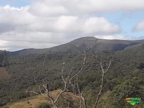 Fazenda Espetacular com 286 ha vizinha ao Parque Estadual de Ibitipoca-MG