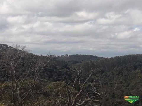 Fazenda Espetacular com 286 ha vizinha ao Parque Estadual de Ibitipoca-MG