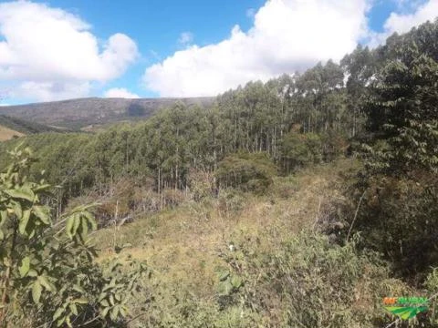 Fazenda Espetacular com 286 ha vizinha ao Parque Estadual de Ibitipoca-MG