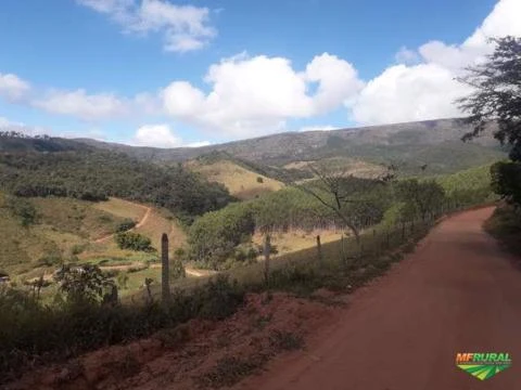 Fazenda Espetacular com 286 ha vizinha ao Parque Estadual de Ibitipoca-MG