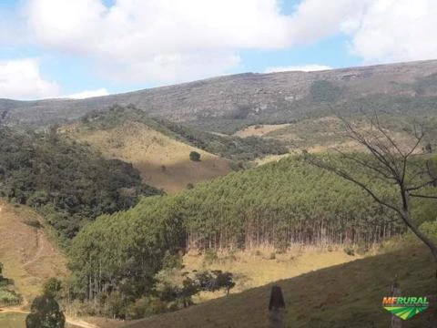 Fazenda Espetacular com 286 ha vizinha ao Parque Estadual de Ibitipoca-MG