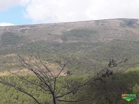 Fazenda Espetacular com 286 ha vizinha ao Parque Estadual de Ibitipoca-MG