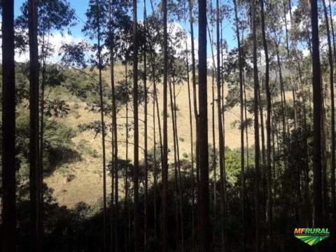 Fazenda Espetacular com 286 ha vizinha ao Parque Estadual de Ibitipoca-MG