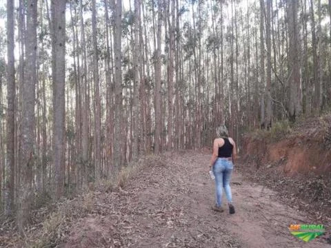 Fazenda Espetacular com 286 ha vizinha ao Parque Estadual de Ibitipoca-MG