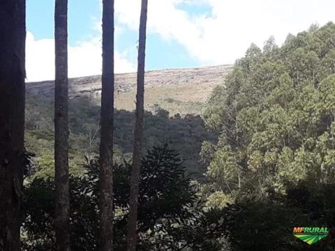 Fazenda Espetacular com 286 ha vizinha ao Parque Estadual de Ibitipoca-MG