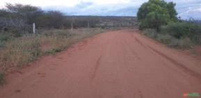 Oportunidade Única: Terreno Extenso na Bahia Ideal para Usina Solar