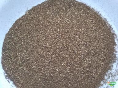 Casca de coco Imagem Casca de coco