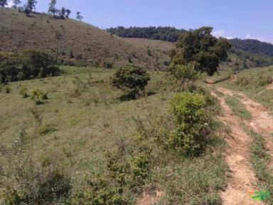 Fazenda 387 Hect. em Juquiá SP, média de 50% em pasto, muita água por gravidade, casa sede e +2