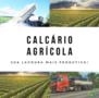 Calcário nas Lavouras Granel Imagem Calcário nas Lavouras Granel