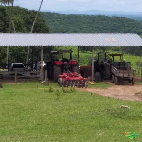 Fazenda Mato Grosso do Sul 1.930 HECTARES PRONTOS