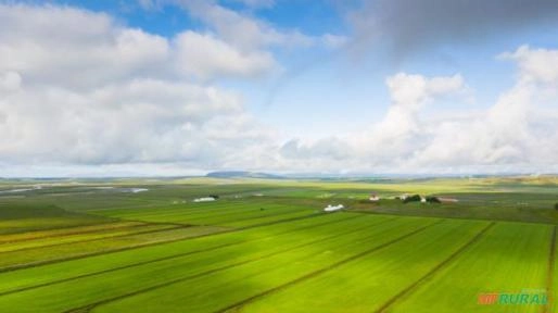 Compro Fazenda em Araras Imagem Compro Fazenda em Araras