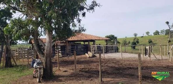 Fazenda a venda no sul da Bahia