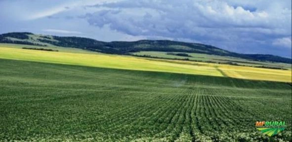 Busco Área para Arrendamento Imagem Busco Área para Arrendamento