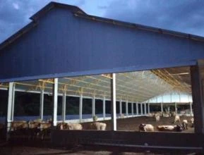 Sistema de confinamento para gado de leite - Compost barn