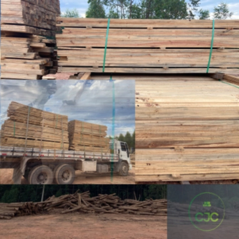 Madeira serrada Pinus Imagem Madeira serrada Pinus