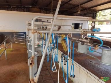 Ordenhadeira Canalizada 4 conjuntos Imagem Ordenhadeira Canalizada 4 conjuntos