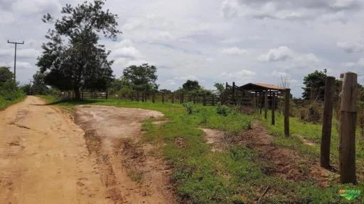 Fazenda com 300 hectares - Oeste da Bahia