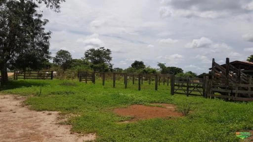 Fazenda com 300 hectares - Oeste da Bahia