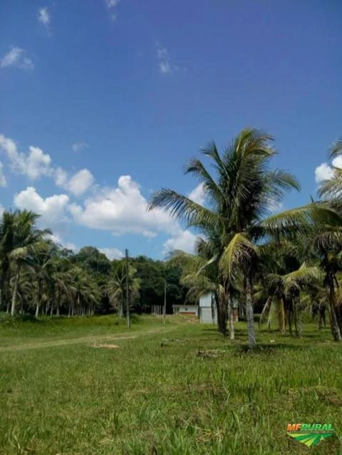 Fazenda no Amazonas BR 174 km 18 com 34.1 hectares