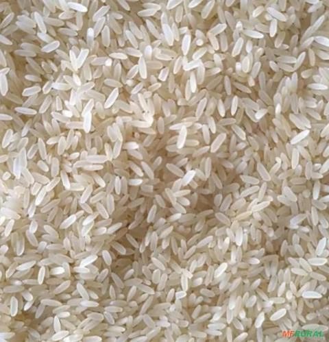 Arroz Parboilizado IR-64 Imagem Arroz Parboilizado IR-64