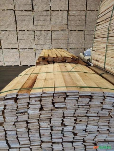 Madeira de Pinus Imagem Madeira de Pinus