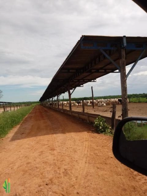 Imagem Construtor rural Imagem Construtor rural