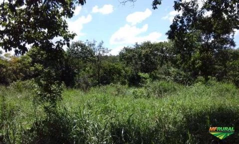 Sitio de 50 hectares em Bandeirantes - MS, a 32 km de São Gabriel do Oeste - na região da Mata Seca.