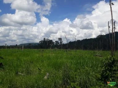 Fazenda São Felix do Xingu - Pará