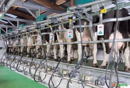 Equipamento de Ordenha Imagem Equipamento de Ordenha