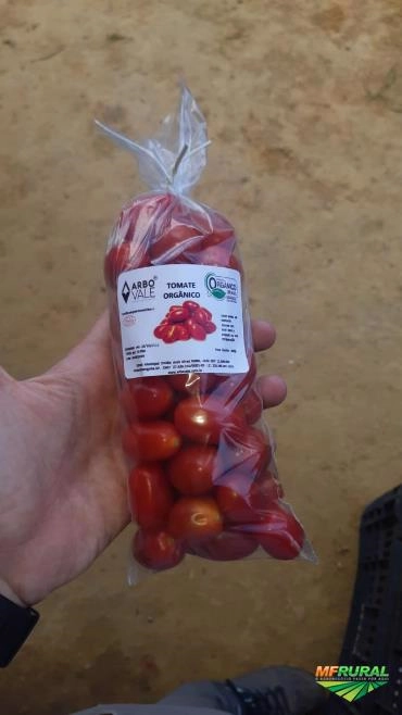 Tomate Sweet Grape Orgânico - com certificação Imagem Tomate Sweet Grape Orgânico - com certificação