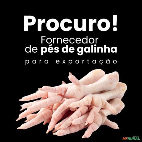 Procuro Fornecedor de Pés de Galinhas para Exportação Imagem Procuro Fornecedor de Pés de Galinhas para Exportação
