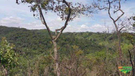 Reserva legal à venda na bacia do rio Paranaíba