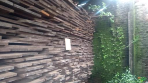 Madeira de Lei Imagem Madeira de Lei