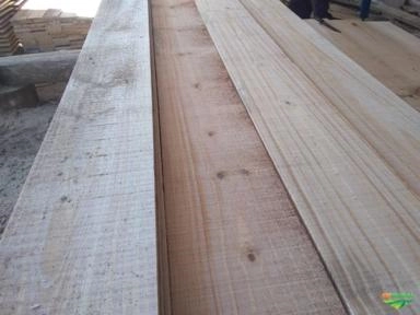 Madeira Pinus Imagem Madeira Pinus