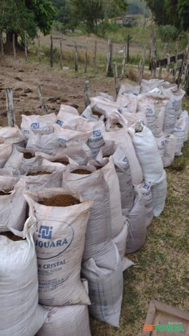 Imagem ESTERCO BOVINO PURO DERIVADO DE CURRAL Imagem ESTERCO BOVINO PURO DERIVADO DE CURRAL