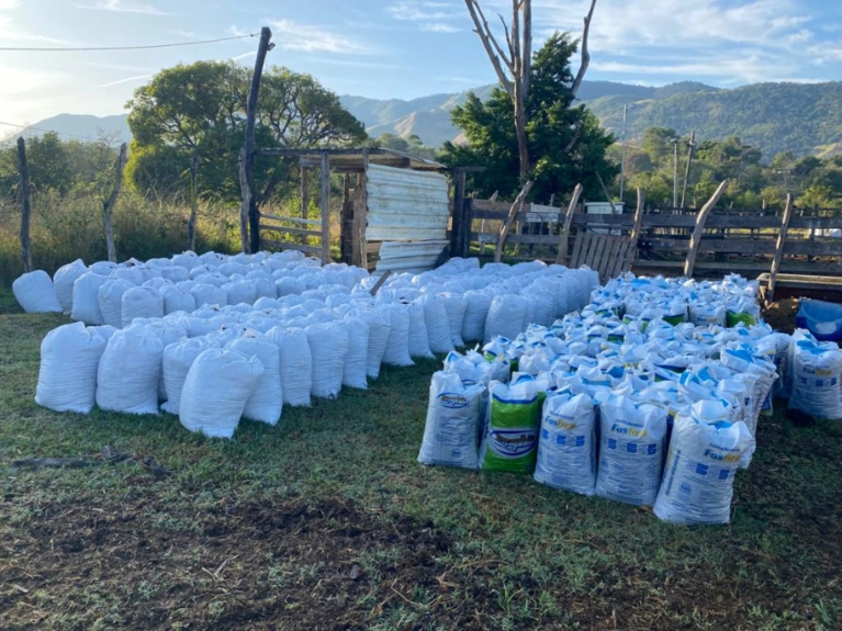 ESTERCO BOVINO PURO DERIVADO DE CURRAL Imagem ESTERCO BOVINO PURO DERIVADO DE CURRAL