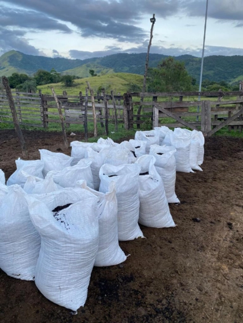 Imagem ESTERCO BOVINO PURO DERIVADO DE CURRAL Imagem ESTERCO BOVINO PURO DERIVADO DE CURRAL