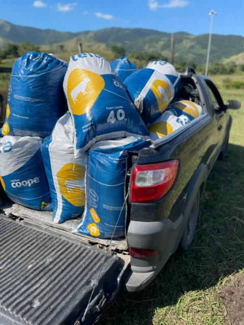 Imagem ESTERCO BOVINO PURO DERIVADO DE CURRAL Imagem ESTERCO BOVINO PURO DERIVADO DE CURRAL