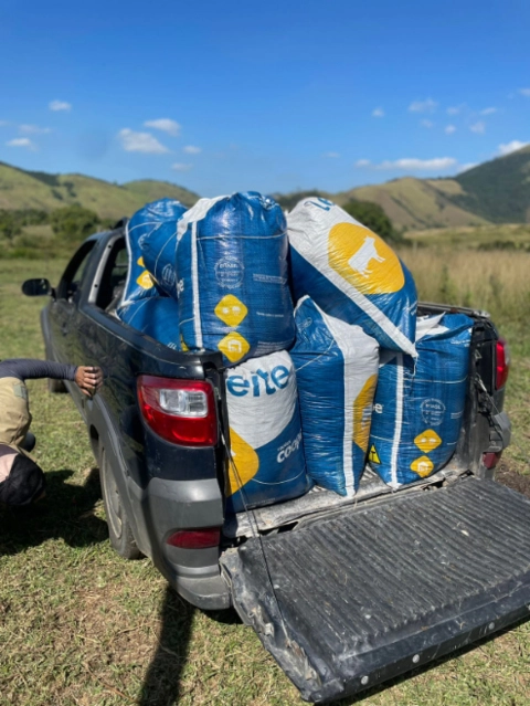 Imagem ESTERCO BOVINO PURO DERIVADO DE CURRAL Imagem ESTERCO BOVINO PURO DERIVADO DE CURRAL