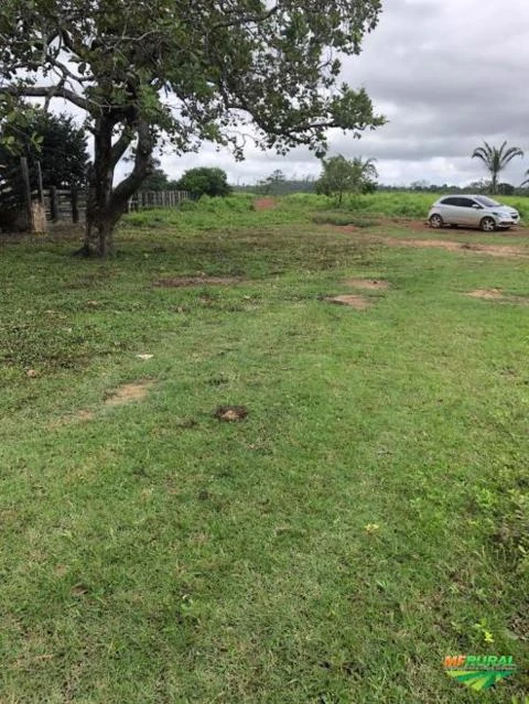 Terreno localizado na estrada da Marajoara em Dom Eliseu - PA.