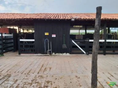 Fazenda em NS do livramento (30km de Cuiabá) 273ha com Geo, para psicultura e pecuária