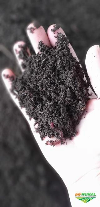 Húmus de Minhoca Imagem Húmus de Minhoca