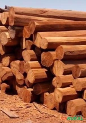 Palanque de Itaúba Imagem Palanque de Itaúba